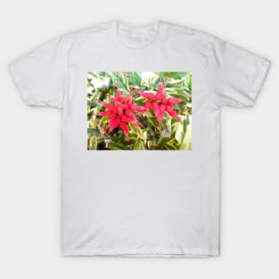 Molokai Floral Study 6 T-Shirt